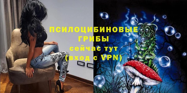 стафф Белокуриха